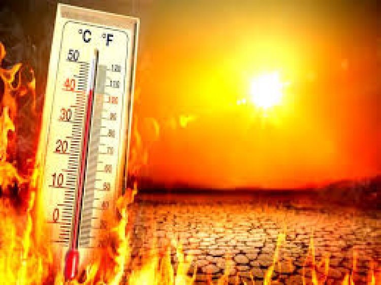 राजस्थान में नौतपा से पहले भीषण गर्मी का कहर, तापमान 47 डिग्री के पार, मौसम विभाग का अलर्ट जारी